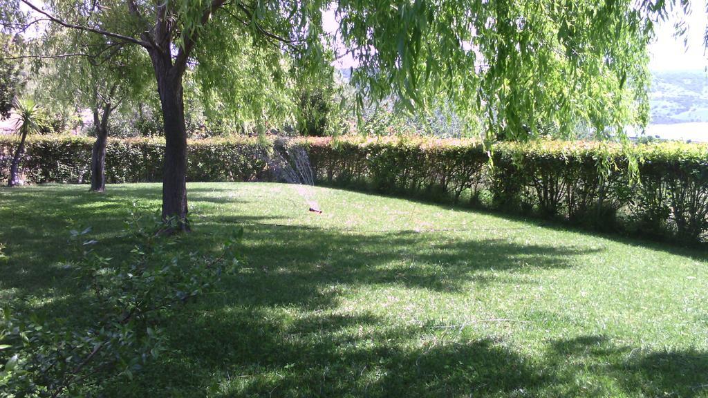 Agriturismo Cugumia Thiesi Dış mekan fotoğraf