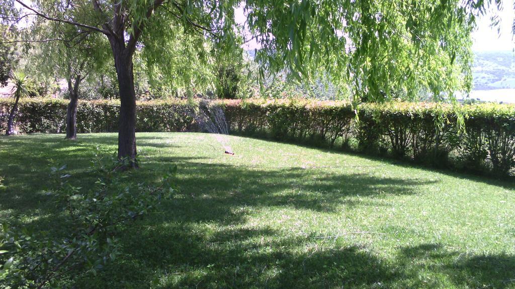 Agriturismo Cugumia Villa Thiesi Dış mekan fotoğraf