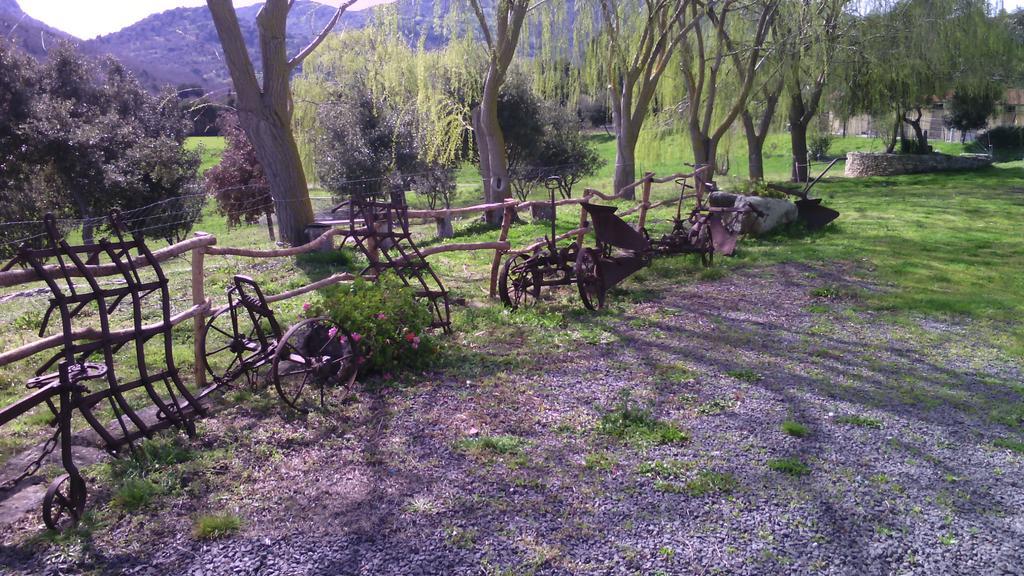 Agriturismo Cugumia Villa Thiesi Dış mekan fotoğraf