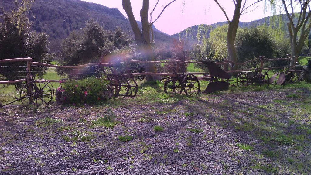 Agriturismo Cugumia Thiesi Dış mekan fotoğraf