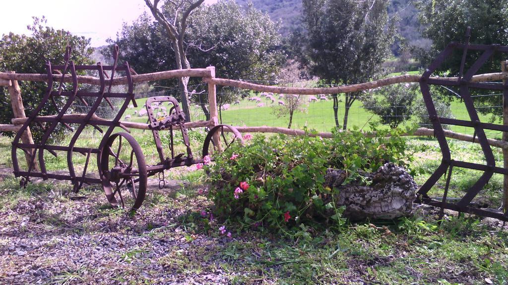Agriturismo Cugumia Thiesi Dış mekan fotoğraf