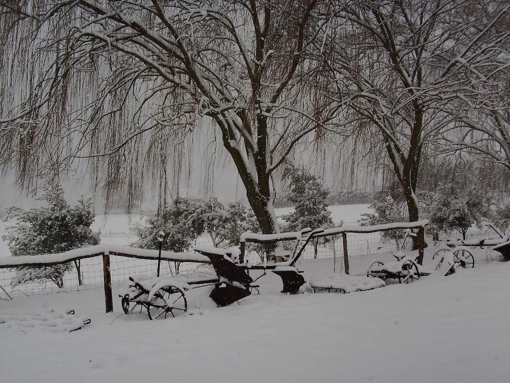 Agriturismo Cugumia Thiesi Dış mekan fotoğraf