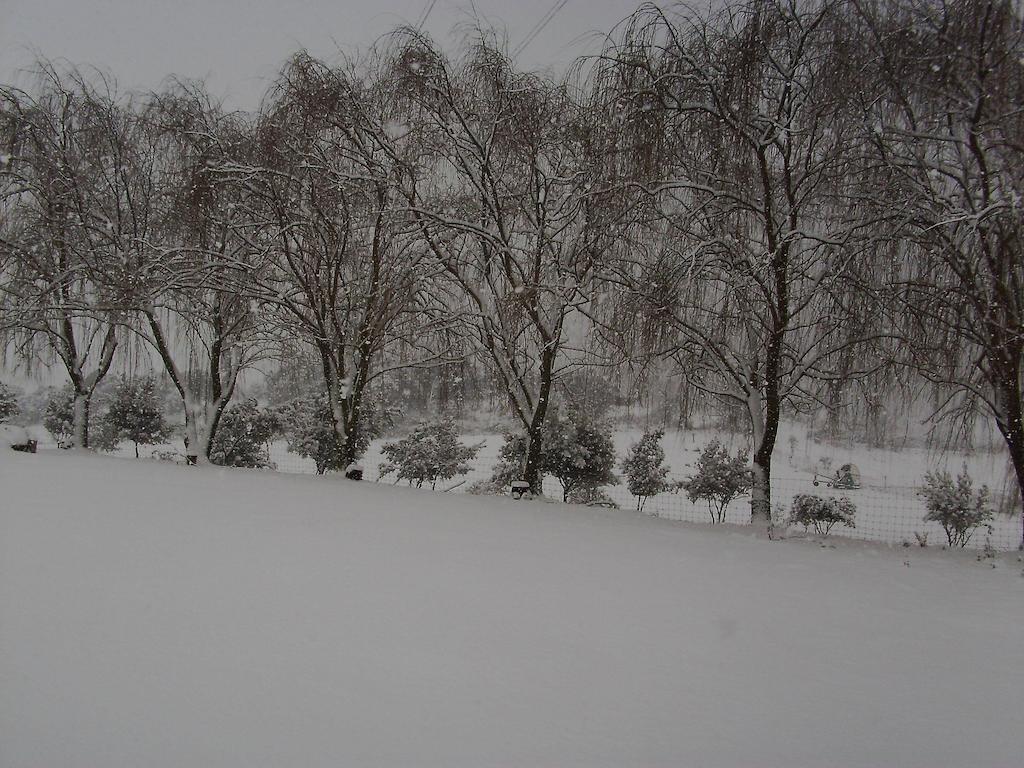 Agriturismo Cugumia Thiesi Dış mekan fotoğraf
