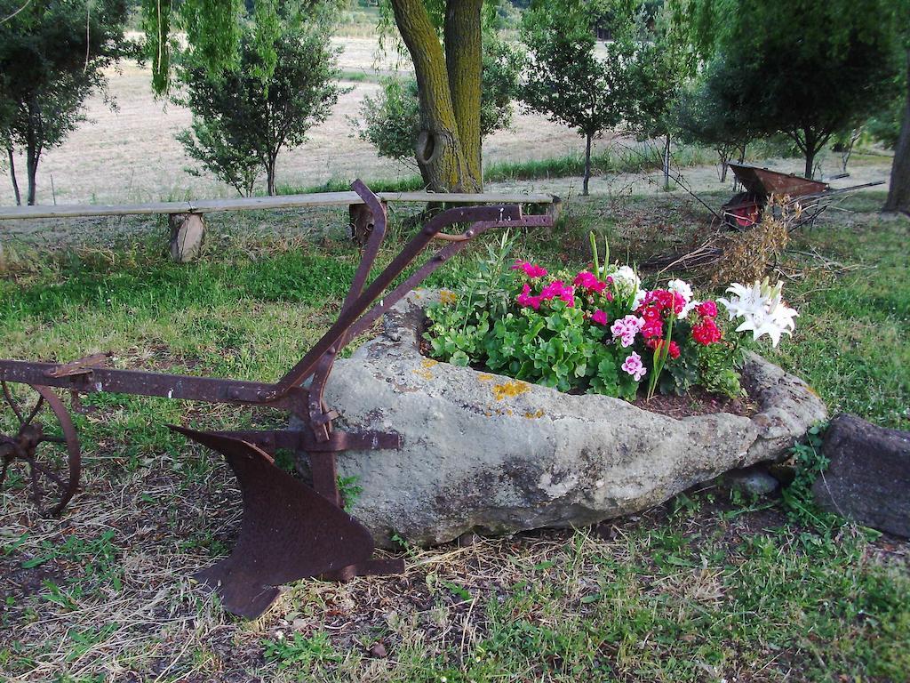 Agriturismo Cugumia Thiesi Dış mekan fotoğraf