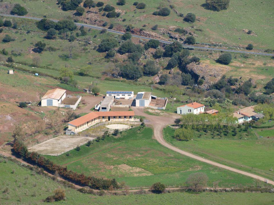 Agriturismo Cugumia Villa Thiesi Dış mekan fotoğraf